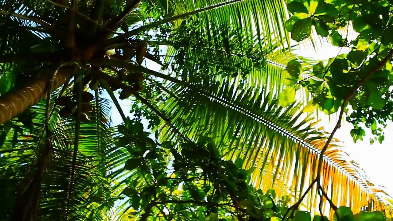 Barry Strudwick | Investing In Real Estate Investors