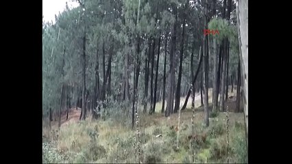 İstanbul'da beklenen kar yağışı başladı