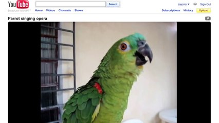 YouTube 101 - Sharing Videos-xoZV-BtJjXw