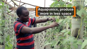 Kenya: Aquaponics, produce more in less space