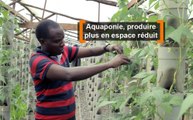 Kenya : Aquaponique, produire plus en espace réduit