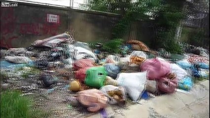 rubbish affects the environment