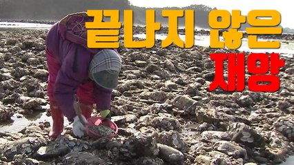 [자막뉴스] 벌써 10년 지났건만...끝나지 않은 재앙 / YTN