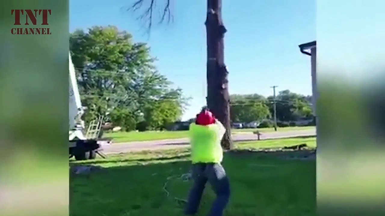 Tree Fails Epic Tree Climbing Fails (Part 1) [TNT Channel]-vTOaRLLI3gA