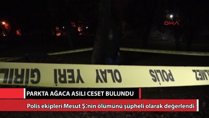 Parkta ağaca asılı cesedi bulundu