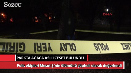 Parkta ağaca asılı cesedi bulundu