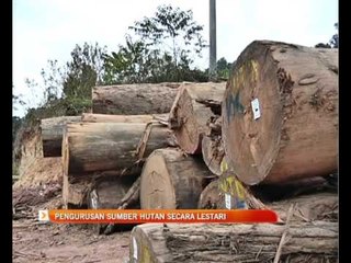 Pengurusan sumber hutan secara lestari