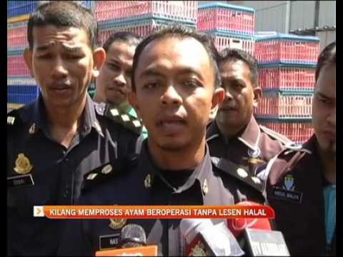 Kilang memproses ayam beroperasi tanpa lesen halal
