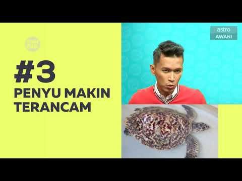 Kompak (Episod 79): Gen Z mahu kerja sendiri