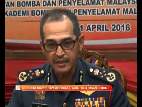 Kes kebakaran hutan meningkat, tahap kesedaran masih rendah