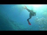 Eko Santai (Episod 8) S2: Mengekalkan kelestarian terumbu karang