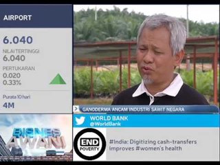 PalmaShield cegah penyakit ganoderma pokok sawit