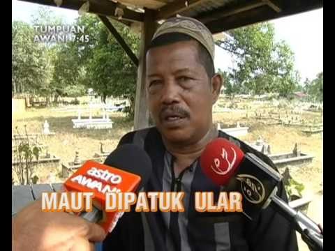 AWANI 7:45 malam ini: Penjenayah maut ditembak dan maut dipatuk ular