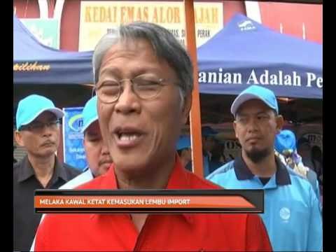 Melaka kawal ketat kemasukan lembu import