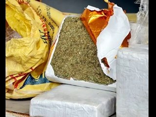 Rakyat Malaysia ditahan bawa ganja 520 kilogram