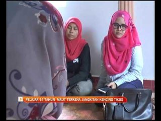 Pelajar 14 tahun  maut terkena jangkitan kencing tikus