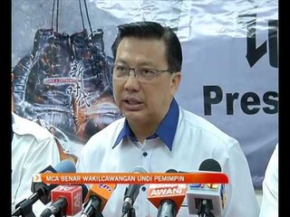 MCA benar wakil cawangan undi pemimpin