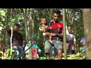 Membina istana cinta di dalam hutan