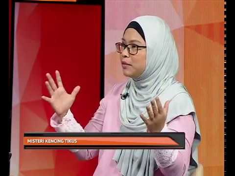 Misteri kencing tikus