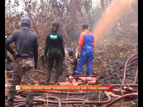 Jerebu akibat asap kebakaran hutan dan tanah gambut