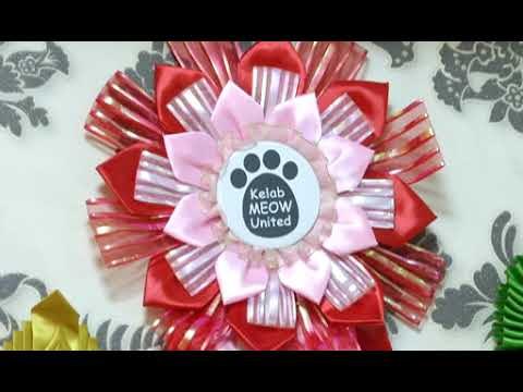 Maine Coon, 'the gentle giant'