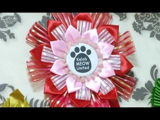 Maine Coon, 'the gentle giant'