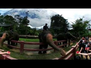 AWANI VR 360 | PUSAT KONSERVASI GAJAH KEBANGSAAN KUALA GANDAH