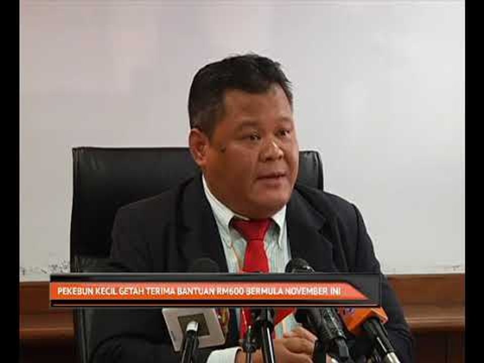 Pekebun kecil getah terima bantuan RM600 bermula November ini