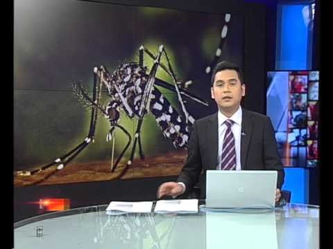 Kes denggi terus meningkat