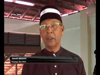 Almarhum seorang pencinta haiwan