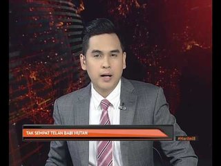 Tak sempat telan babi hutan