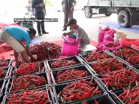 Transformasi daya saing usahawan tani