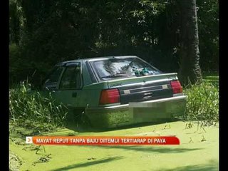 Mayat reput tanpa baju tertiarap di paya