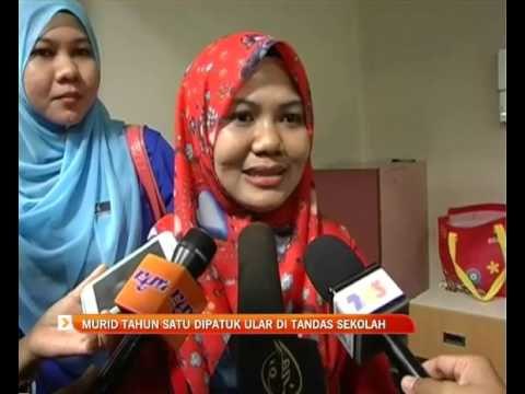 Murid tahun 1 dipatuk ular di tandas sekolah