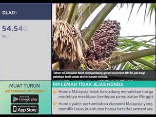 2017: Tinjauan minyak kelapa sawit positif