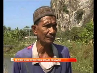El Nino mula beri kesan kepada pesawah