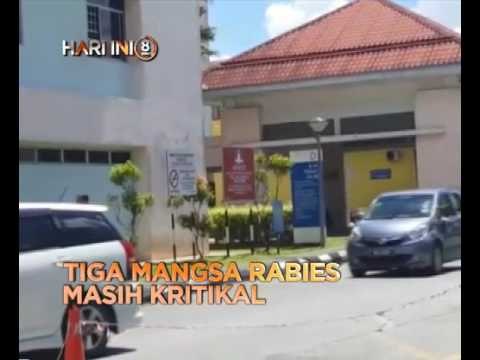 Fokus Hari Ini 8 Malam: Tiga mangsa rabies masih kritikal