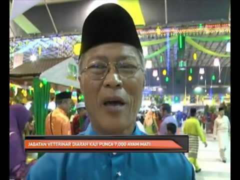 Jabatan Veterinar diarah kaji punca 7,000 ayam mati