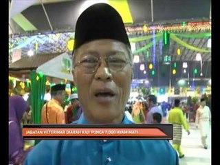 Jabatan Veterinar diarah kaji punca 7,000 ayam mati