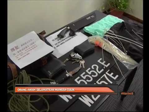 Orang awam selamatkan mangsa culik