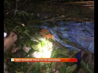 Maut hempap pokok ketika berkhemah