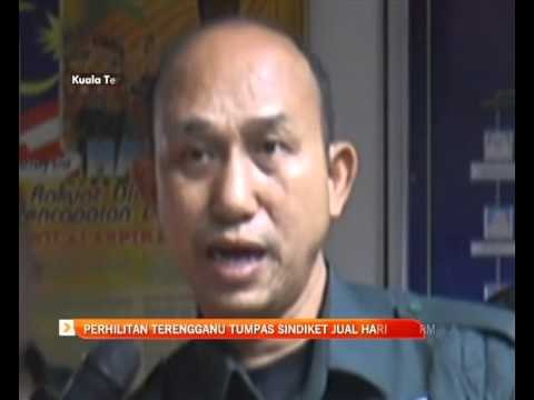 Perhilitan Terengganu tumpas sindiket jual harimau