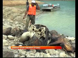 Bangkai gajah dibunuh ditemui