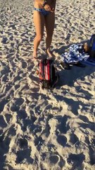 Elle souhaite nourrir des mouettes et va le regretter instantanément