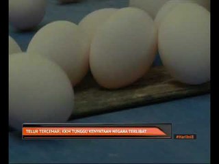Telur tercemar: KKM tunggu kenyataan negara terlibat