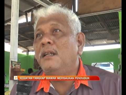 Kegiatan tangkap biawak merisaukan penduduk