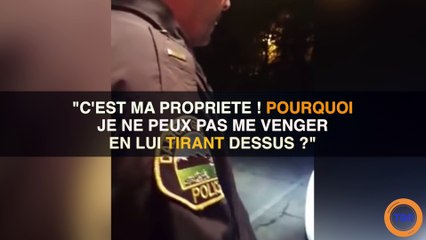 Un chien abîme sa voiture, elle veut se venger de la pire des façons