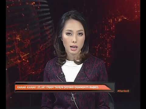 Kanak-kanak lelaki enam tahun disyaki dijangkiti rabies