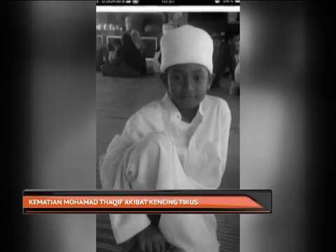 Kematian Mohamad Thaqif akibat kencing tikus