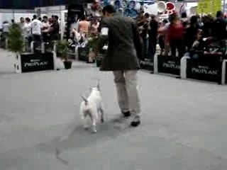 PCH BULL TUNN at BULLETS   IN EXPOCAN MTY 2007